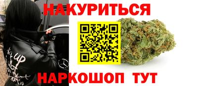 сатива Ставрополь