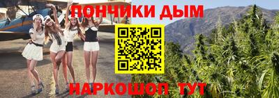сатива Ставрополь