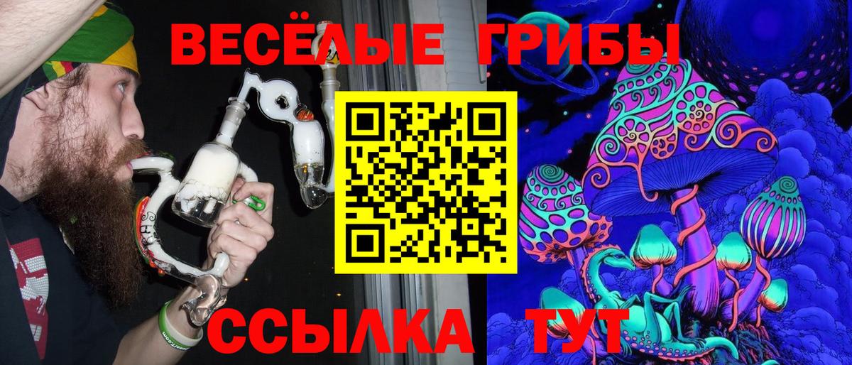 Галлюциногенные грибы прущие грибы  Псилоцибиновые грибы прущие грибы  Вход с VPN  Петрозаводск 
