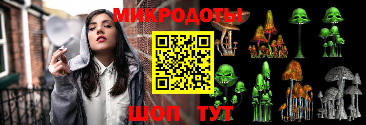Галлюциногенные грибы прущие грибы Петрозаводск